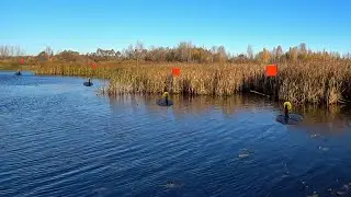 Расставили ВСЕ ЖЕРЛИЦЫ в КАМЫШАХ! И Щуки С УМА ПОСХОДИЛИ! Рыбалка осенью.