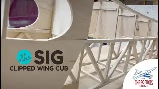 Citabria is dead, long live the CUB! SIG 1:4 Clipped Wing Cub build Pt.1