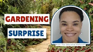 Gardening Surprises