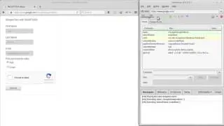 Recaptcha resolver