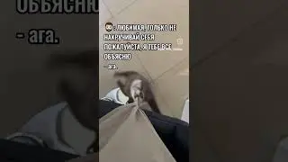🤣🤣🤣🤣😂😅