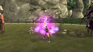 Rappelz Epic 8.1 Berserker Petsch 2. DMG output test!!! =D