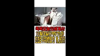 11월3일(1957년) 최초로 우주여행을 한 개, 라이카#shorts