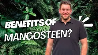 What is a Mangosteen and can it benefit you?