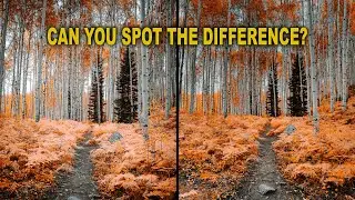 R5 Mark 2 VS. iPhone 15 Pro MAX : UNEXPECTED results!