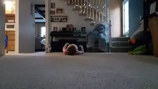AHHHHHHH!!!!!!!