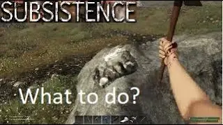 Subsistence: A Day in My Life of Subsistence.