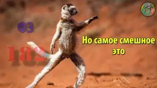 Россия колония США  СССР существует юридически! Почему в РФ вы все мигранты, а в СССР граждане