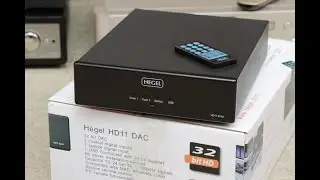 Hegel hd11 vs Prodigy