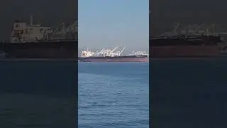 6 августа 2024 г.
