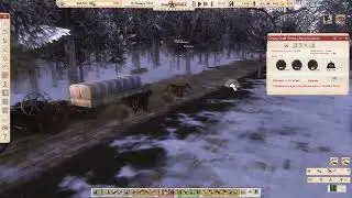 Crazy Draft Horse