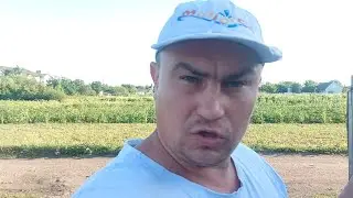 Невыносимая жара,тяжело всем.