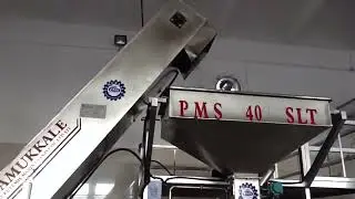 PM 500 Nut Roasting Machine Production Line #nutroastermachine