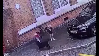 нападение собаки на мать с детьми +18
