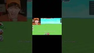 🤣🤣Flamingo Deletes All Builds in Blocks🤣🤣