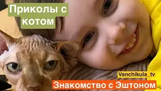 Кот сфинкс - мой друг. Знакомство подписчиков с котом. Смешные видео о коте