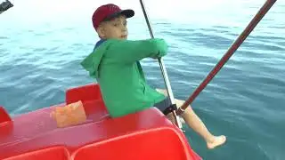 Ловля ставриды с катамарана. Крым, п. Новый Свет,10.06. 2015.