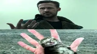 ██̶̈́̋██̶̈́̋██̶̈́̋██̶̈́̋██̶̈́̋██̶̈́̋██̶̈́̋██̶̈́̋