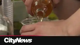 Caribbean festival takes over Whyte Ave as Edmonton enters heat wave