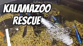 Kalamazoo Rescue