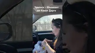 На хавал Дарго из Уральска в Шымкент