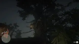 Red Dead Redemption 2_Jules and the Bullgator