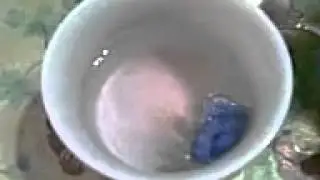 Видео071