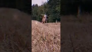 hier das edit von dir welche Video den habt ihr noch?