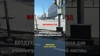 мартЫшкин Труд :))