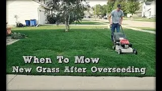 When To Mow New Grass after Overseeding and First Mow