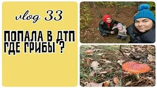 VLOG 33 /Я попала в ДТП / Где грибы ?