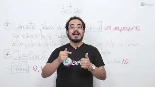 GRAMÁTICA - ARTIGO | Prof. Roberto