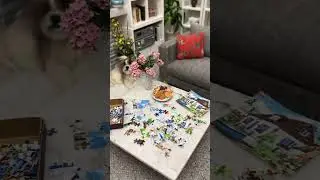 Need a STRONG Magnified Glass for this Puzzle! 🔎 👀 Incredible Tiny Things!