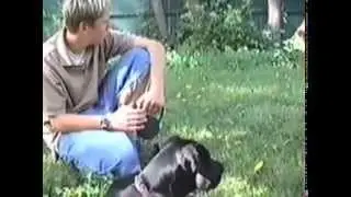 Tucker and the Crew - Neighborhood Adventures, Summer 2002 PT. 1