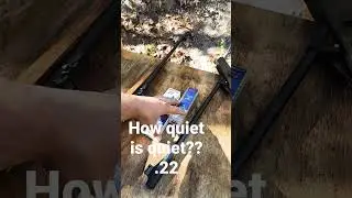 How Quiet are .22s??