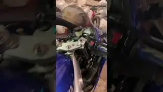 Yamaha YZF600R Tundercat