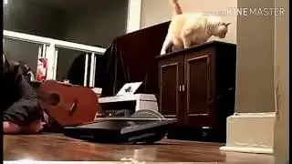 Попробуй не засмеяться#1