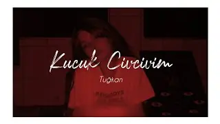 Tuğkan - Civciv Lyrics [Sözleriyle]