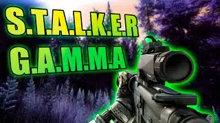Лютый ноудез S.T.A.L.K.E.R: G.A.M.M.A Anomaly СТРИМ #6.5