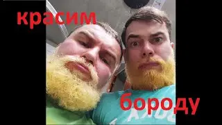 Камуфляж бороды