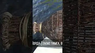 🤔 Fishing methods. Lifestyle of the indigenous peoples of the North