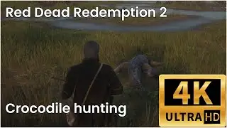 Red Dead Redemption 2 - Series X - 4k30