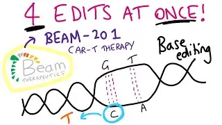 4 simultaneous gene edits!! Base editing in BEAM-201 (Beam Therapeutics)