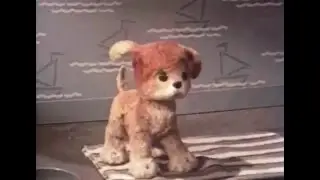 Кто сказал Мяу