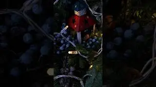 С новым годом!