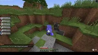 HIDE AND SEEK W/FRIENDS