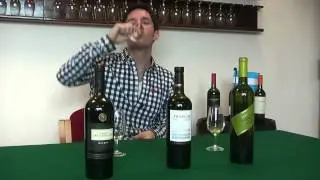 Recommended Wines from Trapiche