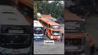 Bus Best Premium