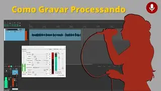 Record in Reaper with plugins inserted (Compressor - Equalizer - Reverb)