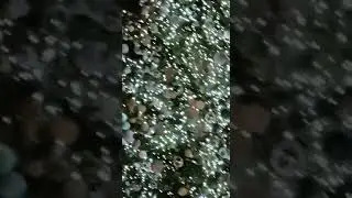 Серафимов Дивеевский во имя Святой Троицы женский монастырь.